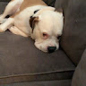 Meet your Posher, Britta